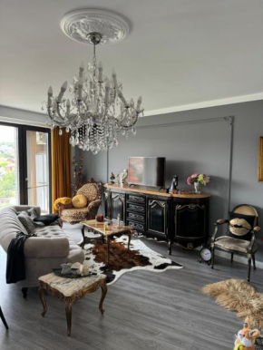 Parisian Apartment Cluj